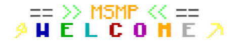MSMP